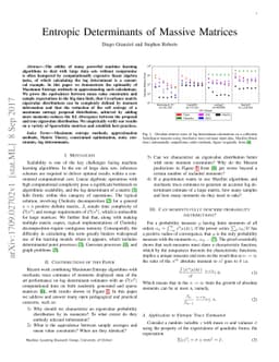 Entropic Determinants