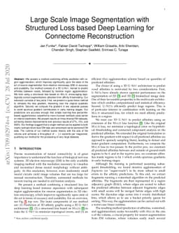 Large Scale Image Segmentation with Structured Loss based Deep Learning
  for Connectome Reconstruction