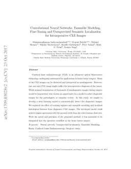Convolutional Neural Networks: Ensemble Modeling, Fine-Tuning and
  Unsupervised Semantic Localization for Intraoperative CLE Images