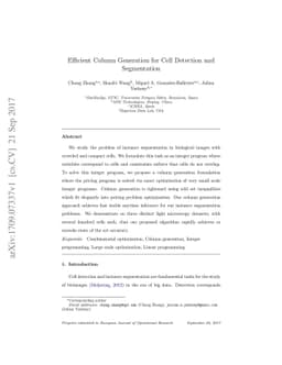 Efficient Column Generation for Cell Detection and Segmentation