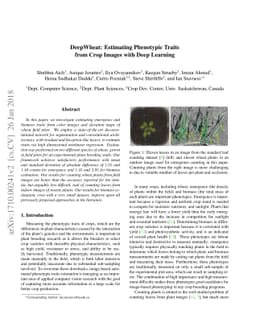 DeepWheat: Estimating Phenotypic Traits from Crop Images with Deep
  Learning