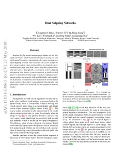 Dual Skipping Networks