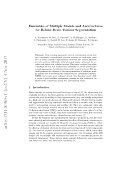 Ensembles of Multiple Models and Architectures for Robust Brain Tumour
  Segmentation
