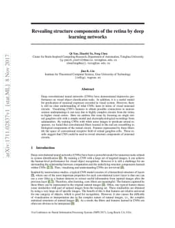Revealing structure components of the retina by deep learning networks