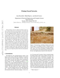Priming Neural Networks
