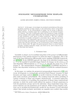 Stochastic metamorphosis with template uncertainties