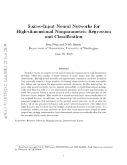 Sparse-Input Neural Networks for High-dimensional Nonparametric
  Regression and Classification