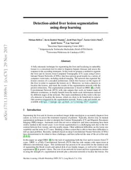 Detection-aided liver lesion segmentation using deep learning