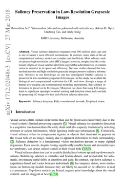 Saliency Preservation in Low-Resolution Grayscale Images