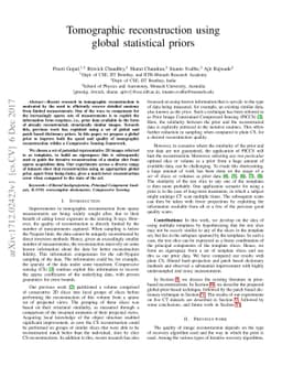 Tomographic Reconstruction using Global Statistical Prior