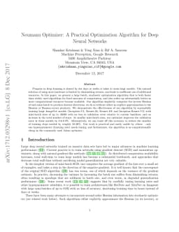 Neumann Optimizer: A Practical Optimization Algorithm for Deep Neural
  Networks