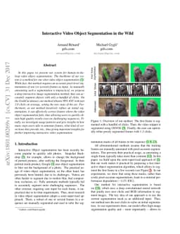 Interactive Video Object Segmentation in the Wild
