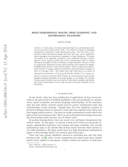 High Dimensional Spaces, Deep Learning and Adversarial Examples