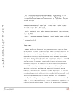 Deep convolutional neural networks for segmenting 3D in vivo multiphoton
  images of vasculature in Alzheimer disease mouse models