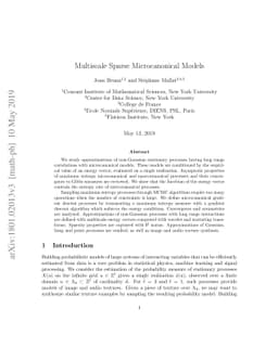 Multiscale Sparse Microcanonical Models