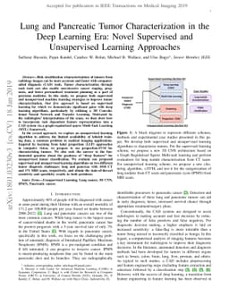 Lung and Pancreatic Tumor Characterization in the Deep Learning Era:
  Novel Supervised and Unsupervised Learning Approaches