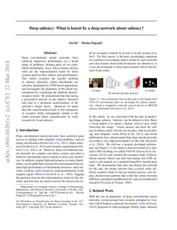 Deep saliency: What is learnt by a deep network about saliency?