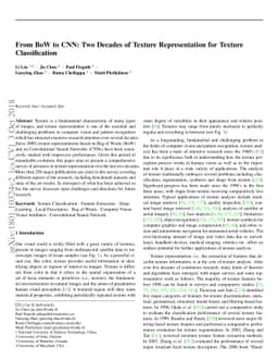 From BoW to CNN: Two Decades of Texture Representation for Texture
  Classification