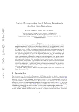 Feature Decomposition Based Saliency Detection in Electron
  Cryo-Tomograms