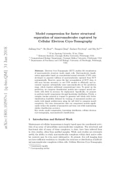 Model compression for faster structural separation of macromolecules
  captured by Cellular Electron Cryo-Tomography