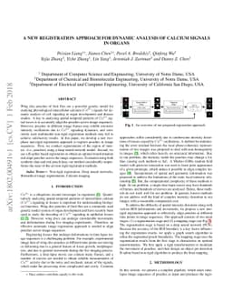 A New Registration Approach for Dynamic Analysis of Calcium Signals in
  Organs