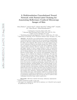 A Multiresolution Convolutional Neural Network with Partial Label
  Training for Annotating Reflectance Confocal Microscopy Images of Skin
