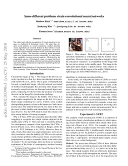 Same-different problems strain convolutional neural networks