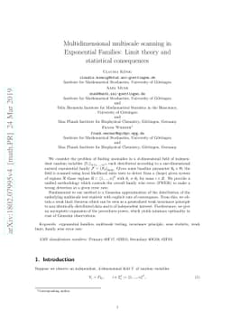 Multidimensional multiscale scanning in Exponential Families: Limit
  theory and statistical consequences