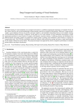 Deep Unsupervised Learning of Visual Similarities