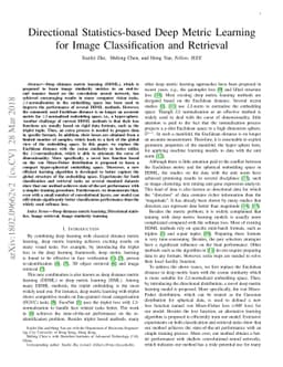 Directional Statistics-based Deep Metric Learning for Image
  Classification and Retrieval