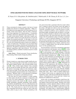 Fine-grained wound tissue analysis using deep neural network
