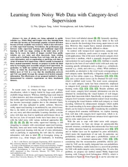 Learning from Noisy Web Data with Category-level Supervision
