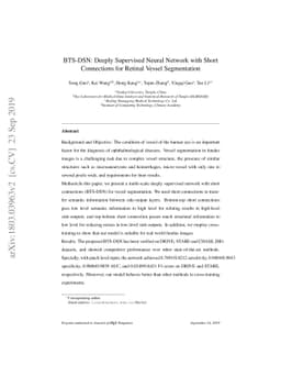 BTS-DSN: Deeply Supervised Neural Network with Short Connections for
  Retinal Vessel Segmentation
