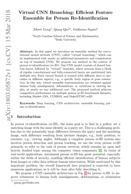 Virtual CNN Branching: Efficient Feature Ensemble for Person
  Re-Identification