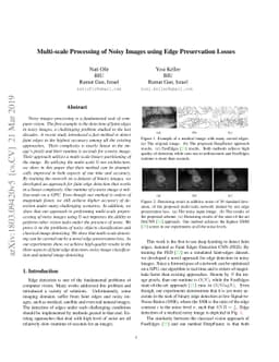 Multi-scale Processing of Noisy Images using Edge Preservation Losses