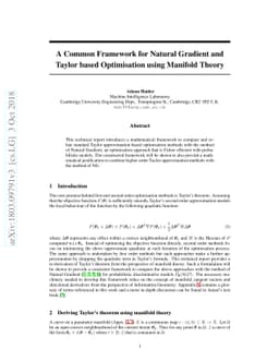A Common Framework for Natural Gradient and Taylor based Optimisation
  using Manifold Theory