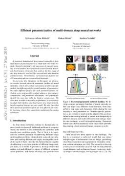 Efficient parametrization of multi-domain deep neural networks
