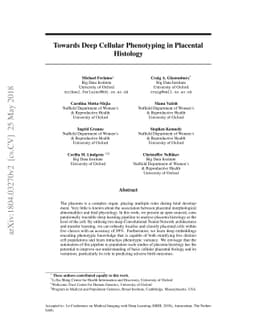 Towards Deep Cellular Phenotyping in Placental Histology