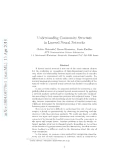 Understanding Community Structure in Layered Neural Networks