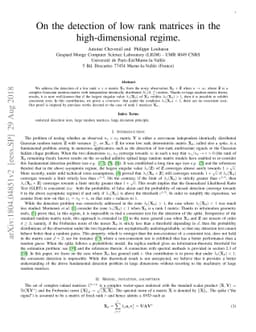 On the detection of low rank matrices in the high-dimensional regime