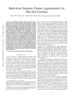 Multi-level Semantic Feature Augmentation for One-shot Learning