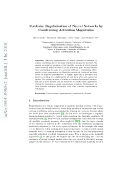 MaxGain: Regularisation of Neural Networks by Constraining Activation
  Magnitudes