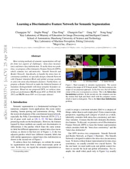 Learning a Discriminative Feature Network for Semantic Segmentation