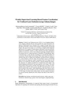 Weakly-Supervised Learning-Based Feature Localization in Confocal Laser
  Endomicroscopy Glioma Images