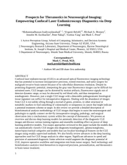 Prospects for Theranostics in Neurosurgical Imaging: Empowering Confocal
  Laser Endomicroscopy Diagnostics via Deep Learning
