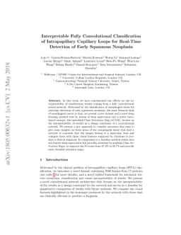 Interpretable Fully Convolutional Classification of Intrapapillary
  Capillary Loops for Real-Time Detection of Early Squamous Neoplasia