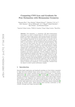 Computing CNN Loss and Gradients for Pose Estimation with Riemannian
  Geometry