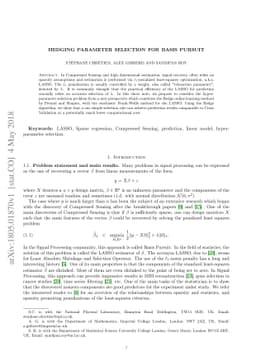 Hedging parameter selection for basis pursuit