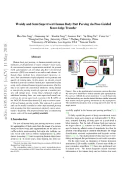 Weakly and Semi Supervised Human Body Part Parsing via Pose-Guided
  Knowledge Transfer