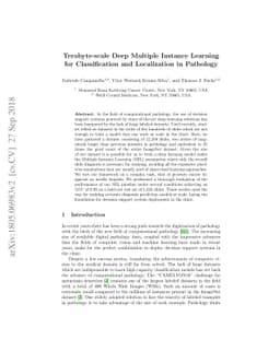 Terabyte-scale Deep Multiple Instance Learning for Classification and
  Localization in Pathology